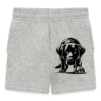 Labrador - Short Bébé - gris chiné - Devant