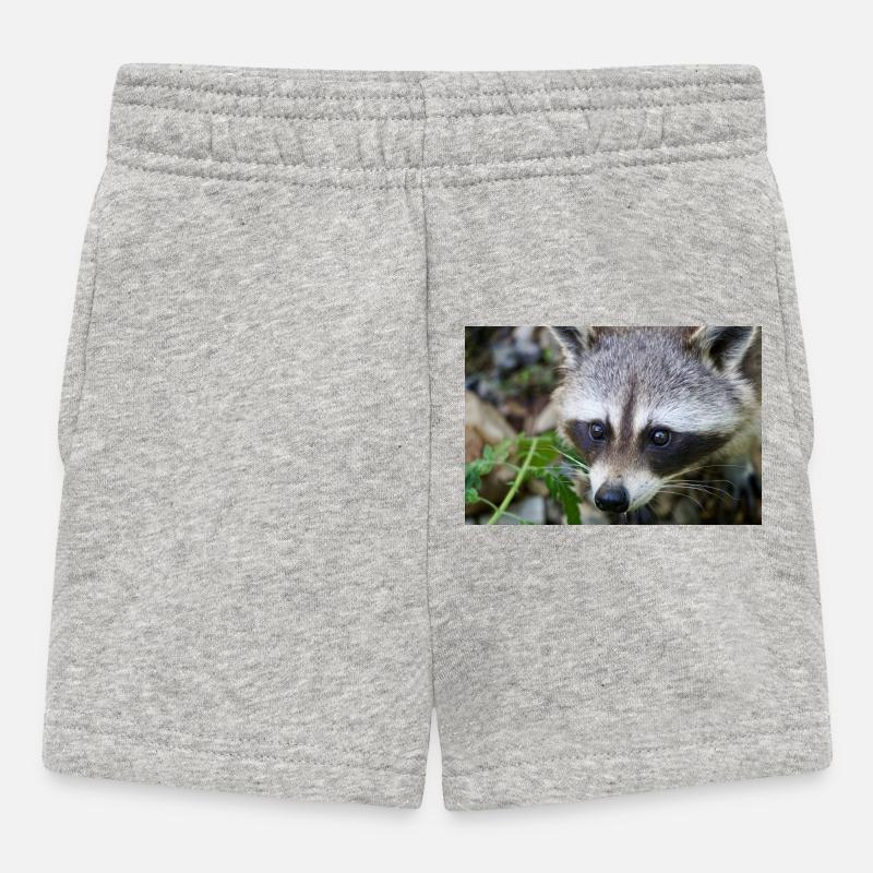 Raton laveur - Short Bébé - gris chiné