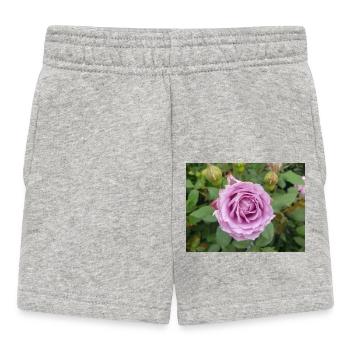 Gallic rose also rose of Provins Essig-Rose - Baby Shorts - heather grey - Front
