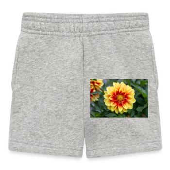 Dahlia (in german Dahlie) Dahlia - Baby Shorts - Grau meliert - Vorne