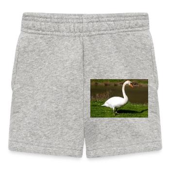 Cygne tuberculé (en allemand Höckerschwan) Cygnus olor - Short Bébé - gris chiné - Devant
