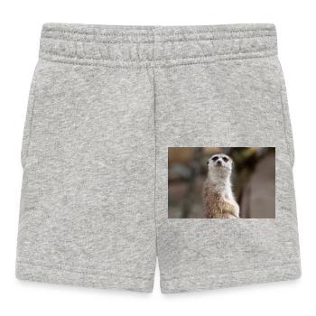 Meerkat (in german Erdmännchen) Suricata suricatta - Baby Shorts - heather grey - Front