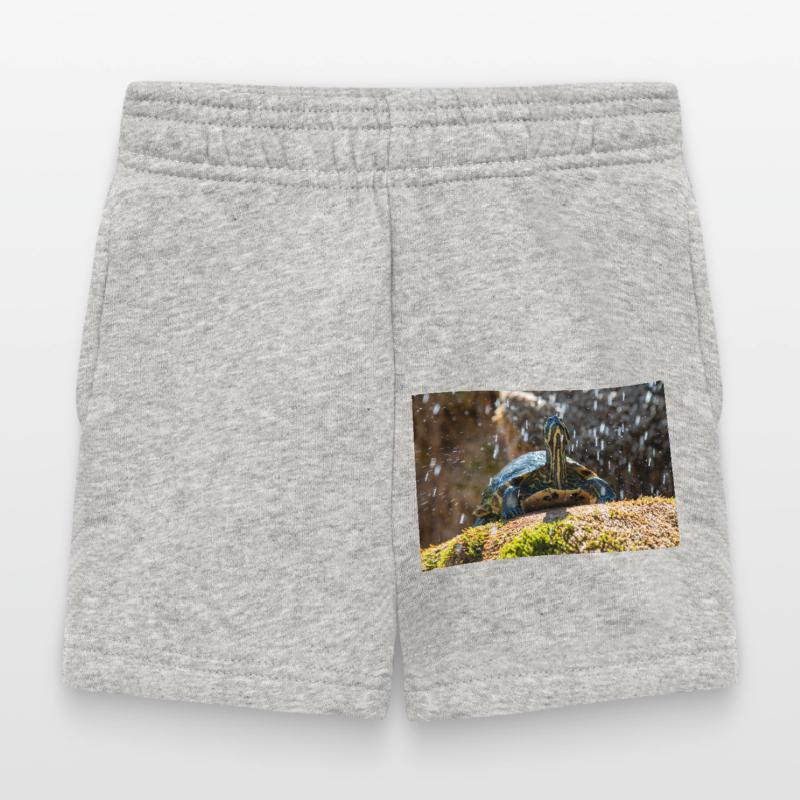 Trachemys scripta scripta scripta Short Bébé