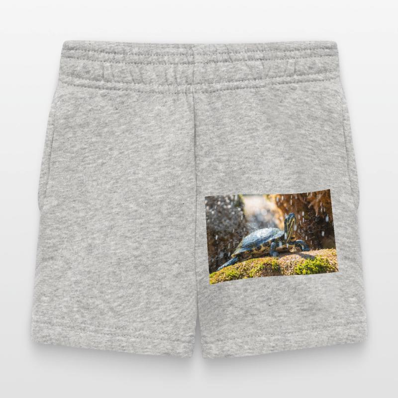 Trachemys scripta scripta scripta Short Bébé