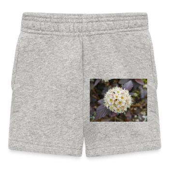 Physocarpus capitatus Blasenspiere - Short Bébé - gris chiné - Devant