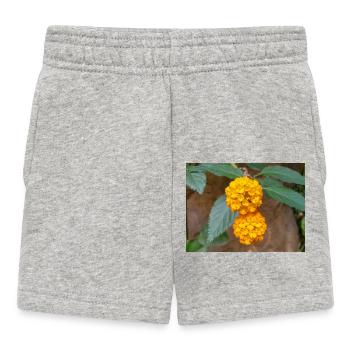 Lantana aussi drapeau espagnol Wandelröschen Lantana - Short Bébé - gris chiné - Devant