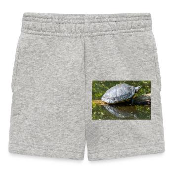 Yellow-bellied slider Gelbbauch-Schmuckschildkröte - Baby Shorts - Grau meliert - Vorne