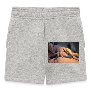 Mexican beaded lizard (Skorpion-Krustenechse) - Baby Shorts - heather grey - Front