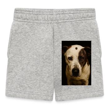 Mon copain chien - Short Bébé - gris chiné - Devant