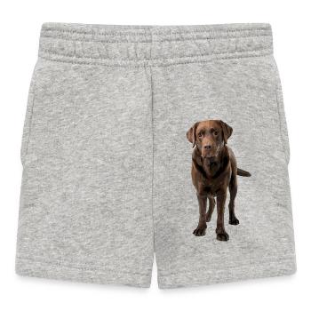 Brown Labrador Comic Style - Baby Shorts - heather grey - Front