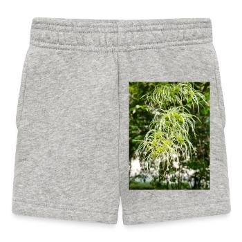 Joie du voyageur Clématite vitalba - Short Bébé - gris chiné - Devant