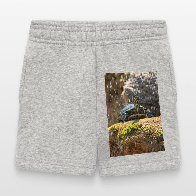 Trachemys scripta scripta scripta Short Bébé