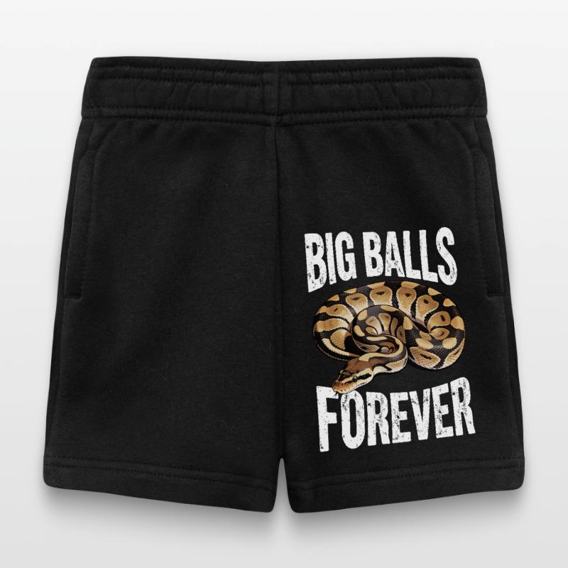 Python roi Serpents Amateurs de terrarium Python Short Bébé