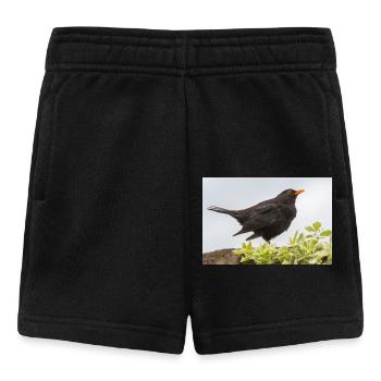 Blackbird (Turdus merula) Amsel Poster - Baby Shorts - Schwarz - Vorne