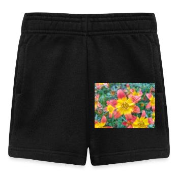 Bidens triplinervia Dreinerviger Zweizahn - Short Bébé - noir - Devant