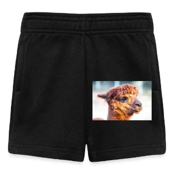 Alpaka Vicugna pacos - Baby Shorts - Schwarz - Vorne
