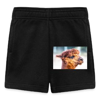 Alpaka Vicugna pacos - Baby Shorts - Schwarz - Vorne