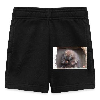 Tree-spined New World porcupines Erethizontidae - Baby Shorts - black - Front