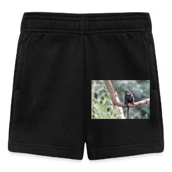 Tamarin à manteau noir Schwarzrückentamarin - Short Bébé - noir - Devant