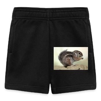 Chipmunk (kanadisches Streifenhörnchen) - Baby Shorts - Schwarz - Vorne