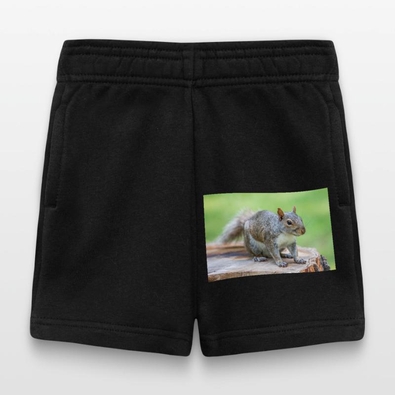 Grey squirrel Grauhörnchen Sciurus carolinensis Baby Shorts