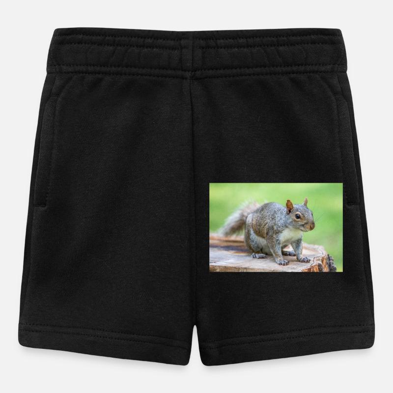 Grauhörnchen Sciurus carolinensis - Baby Shorts - Schwarz