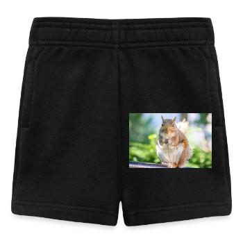Essen Grauhörnchen Grauhörnchen Sciurus carolin - Baby Shorts - Schwarz - Vorne