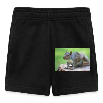 Écureuil gris Grauhörnchen Sciurus carolinensis - Short Bébé - noir - Devant