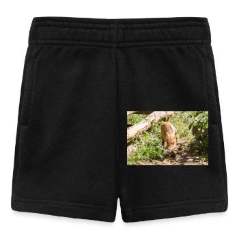 Wildschwein Sus scrofa - Baby Shorts - Schwarz - Vorne