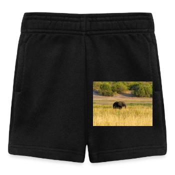 Elefanten in Namibia Afrika - Baby Shorts - Schwarz - Vorne