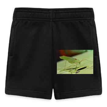 Krauss-Buschgrille Isophya kraussii - Baby Shorts - Schwarz - Vorne