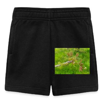Noyer de Perse aussi noyer commun Juglans regia - Short Bébé - noir - Devant