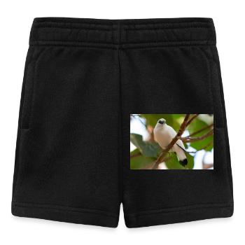 Bali starling Balistar Bali-Mynah, Leucopsar - Baby Shorts - black - Front