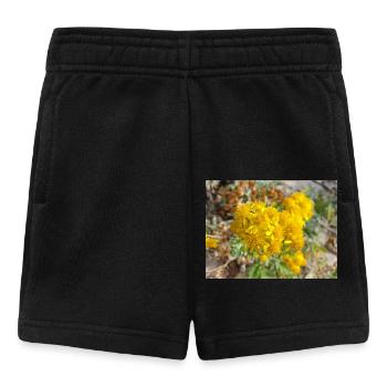 Jacobaea maritima aussi ragwort argenté Greiskraut - Short Bébé - noir - Devant