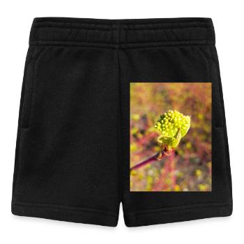 cornouillers Cornus Hornstrauch - Short Bébé - noir - Devant