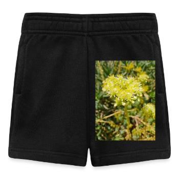 Heller Mauerpfeffer (auf deutsch Nizza-Mauerpfeffer) - Baby Shorts - Schwarz - Vorne