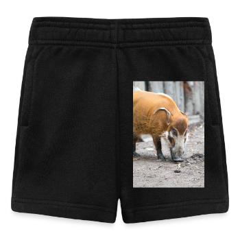 bush pig or red river hog - Baby Shorts - black - Front