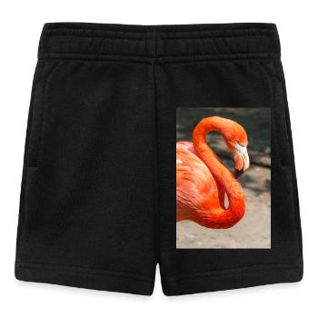 Flamingo (in german Flamingo) Phoenicopteridae - Baby Shorts - Schwarz - Vorne