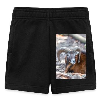 Mouflon européen (en allemand mouflon européen) - Short Bébé - noir - Devant