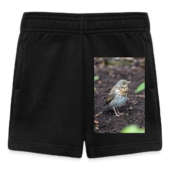 Fieldfare (auf Deutsch Wacholderdrossel) Turdus pila - Baby Shorts - Schwarz - Vorne