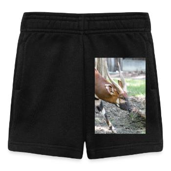 Östlicher Bongo Tragelaphus euryce - Baby Shorts - Schwarz - Vorne