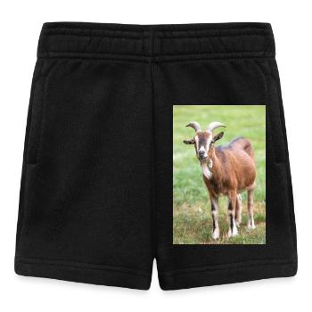 Chèvre (Ziege, Capra) brune et noire - Short Bébé - noir - Devant