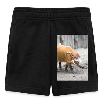 bush pig or red river hog Pinselohrschwein - Baby Shorts - black - Front