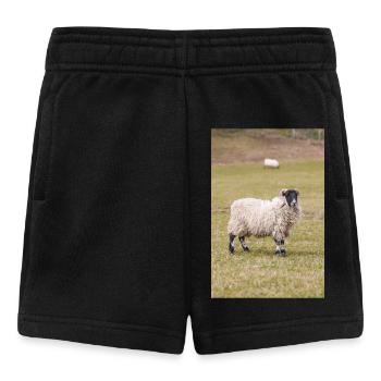 Mouton (en allemand Schaf) Ovis en Irlande - Short Bébé - noir - Devant