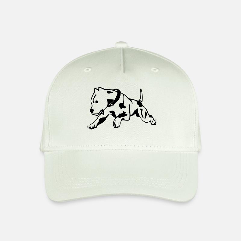 Pit Bull - Kinder Bio Basecap - Helles Mintgrün