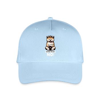 Before You Ask Akita Akita Owner Akita Lovers - Organic Kids’ Baseball Cap - light blue - Front