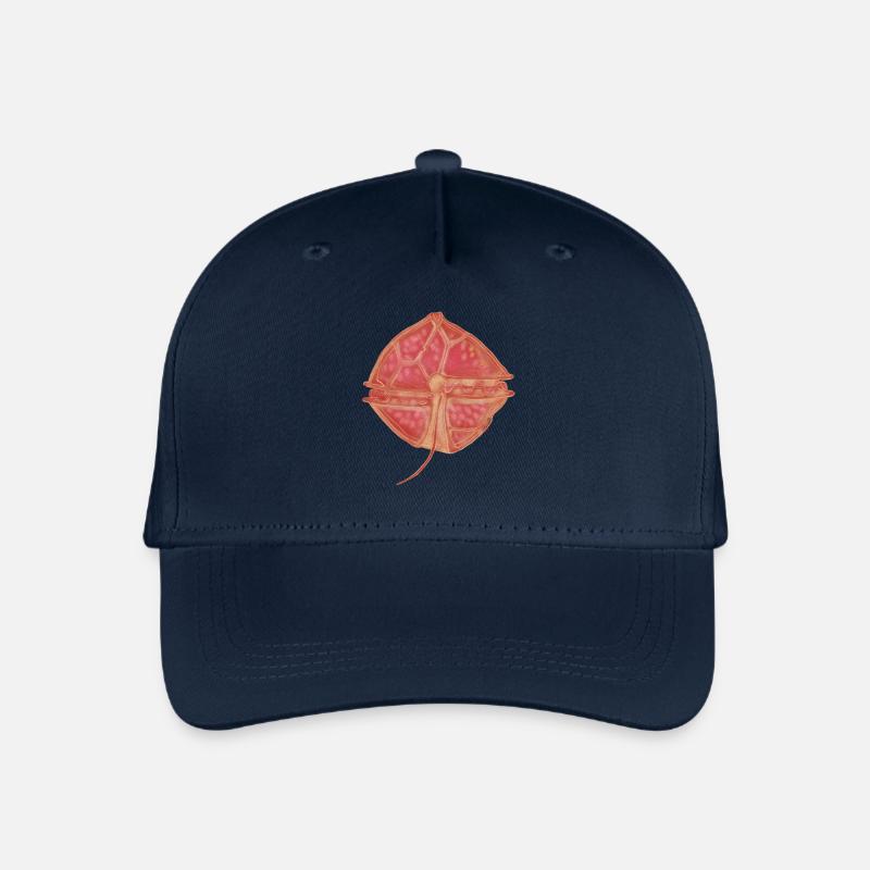 Alexandrium catanella - Kinder Bio Basecap - Navy