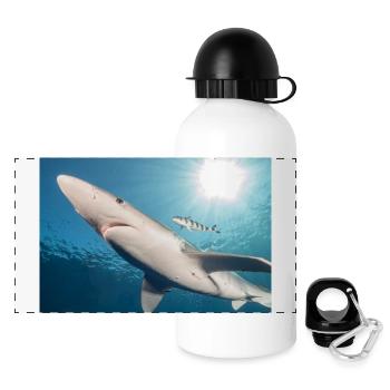 Azores Shark - Panoramic Thermal Bottle with Lid 500 ml - white - Front