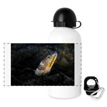Napoleon Schlangen Aal - Panorama Trinkflasche mit Deckel 500 ml - Weiß - Vorne