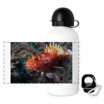 Scorpionsfisch Azoren - Panorama Trinkflasche mit Deckel 500 ml - Weiß - Vorne